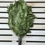 Bird cherry sauna whisk