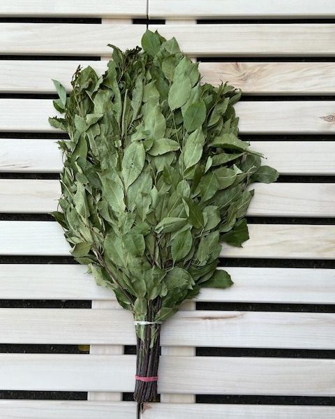 Bird cherry sauna whisk