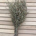 Sauna herb bundle, wormwood / Artemisia absinthium