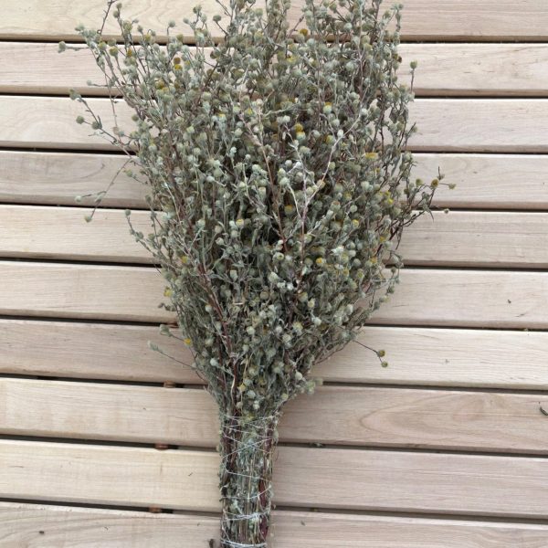 Sauna herb bundle, wormwood / Artemisia absinthium
