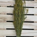 Sauna herb bundle with sweet clover
