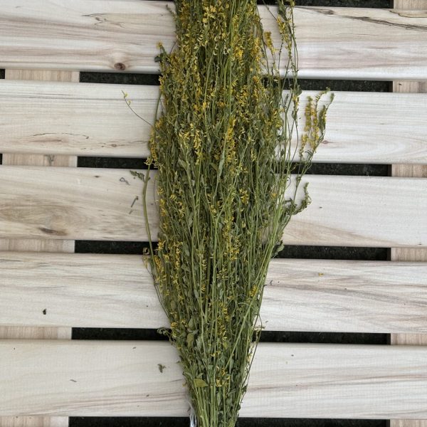 Sauna herb bundle with sweet clover