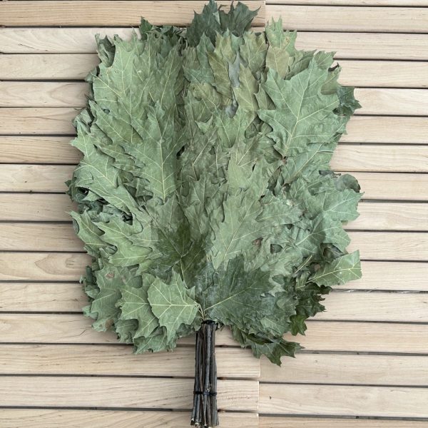 Canadian oak sauna whisk