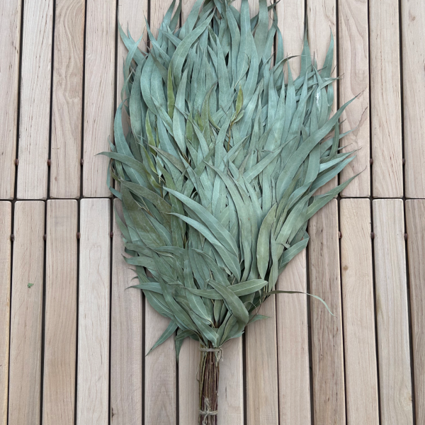 Eucalyptus sauna whisk