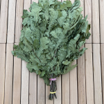 Oak sauna whisk