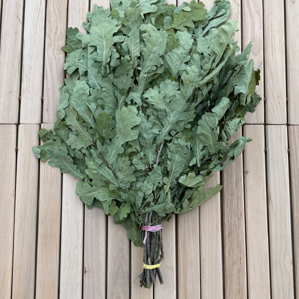 Oak sauna whisk