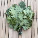 Canadian oak sauna whisk